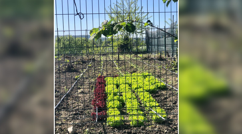 Kurumumuzdan Kareler