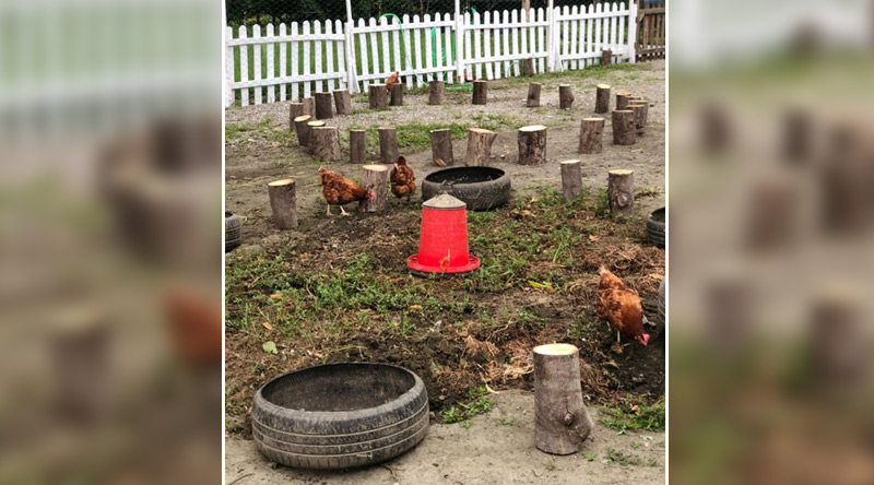 Kurumumuzdan Kareler