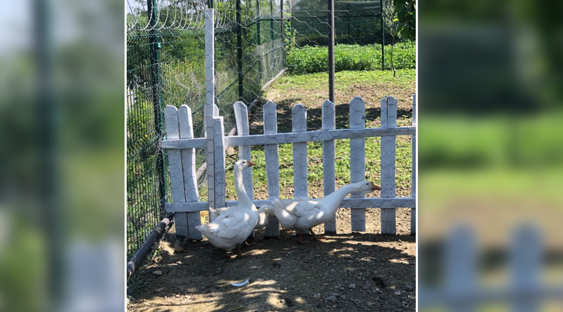 Kurumumuzdan Kareler