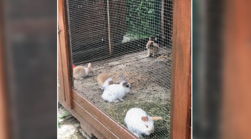 Kurumumuzdan Kareler