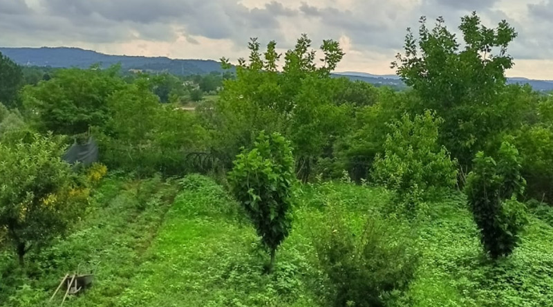 Kurumumuzdan Kareler